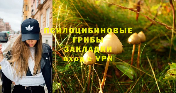 эйфоретик Аркадак
