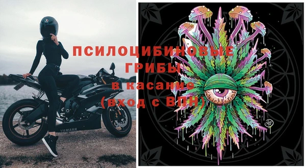 индика Алзамай