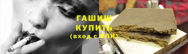 индика Алзамай