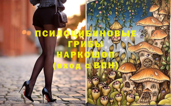 амф Алексин