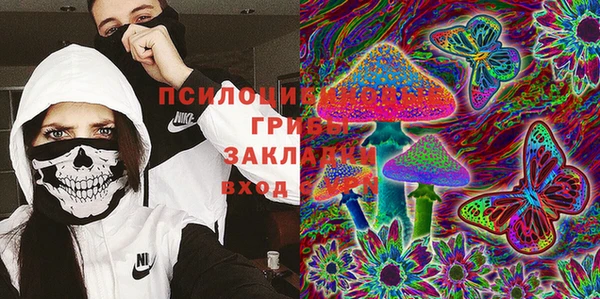 амф Алексин