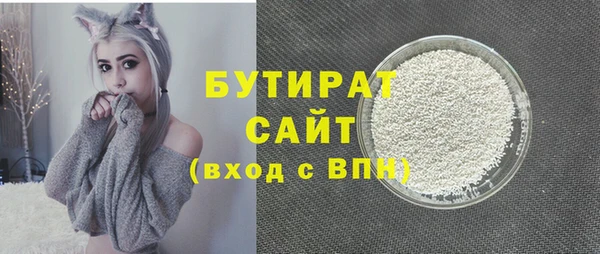 индика Алзамай